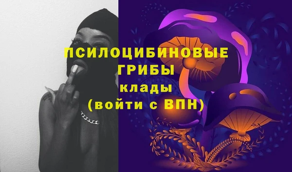 MESCALINE Вяземский