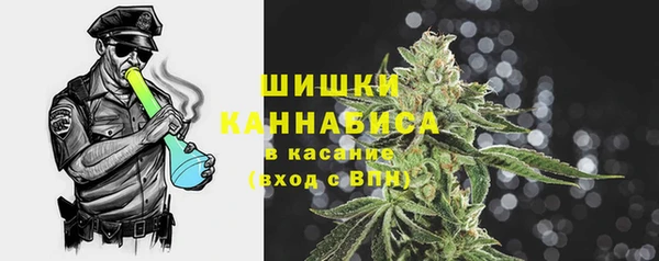 СК Вязьма