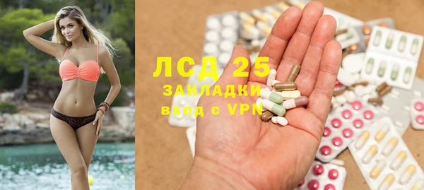 СК Вязьма