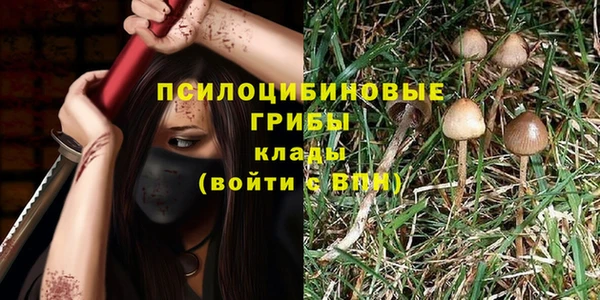 MESCALINE Вяземский